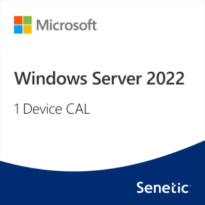 Windows Server 2022 CAL – 1 User CAL – 1 Year